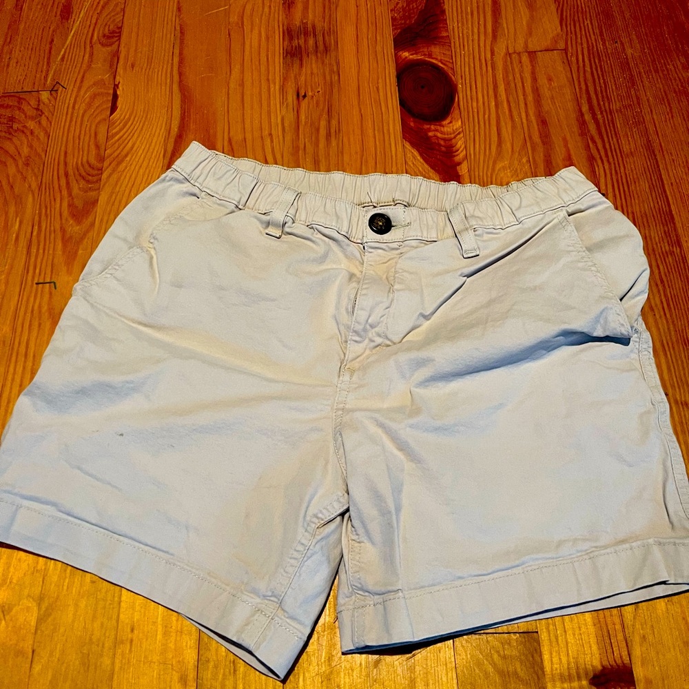 Chubbies Shorts